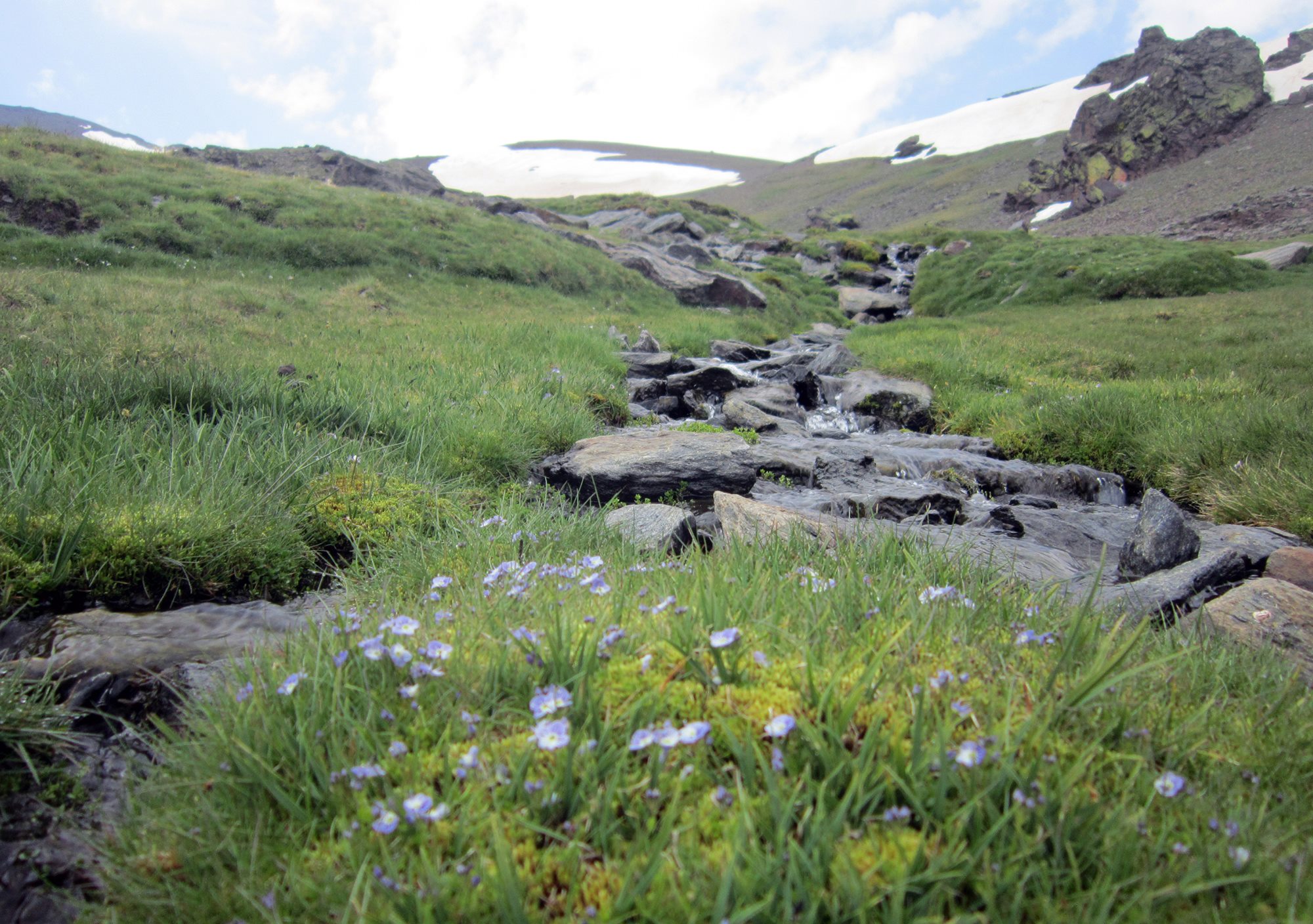 visitar Sierra Nevada y Güéjar de Granada